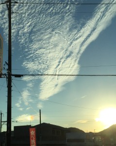 太陽と他の太陽?