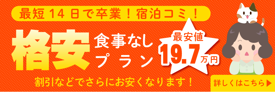格安食事なしプラン